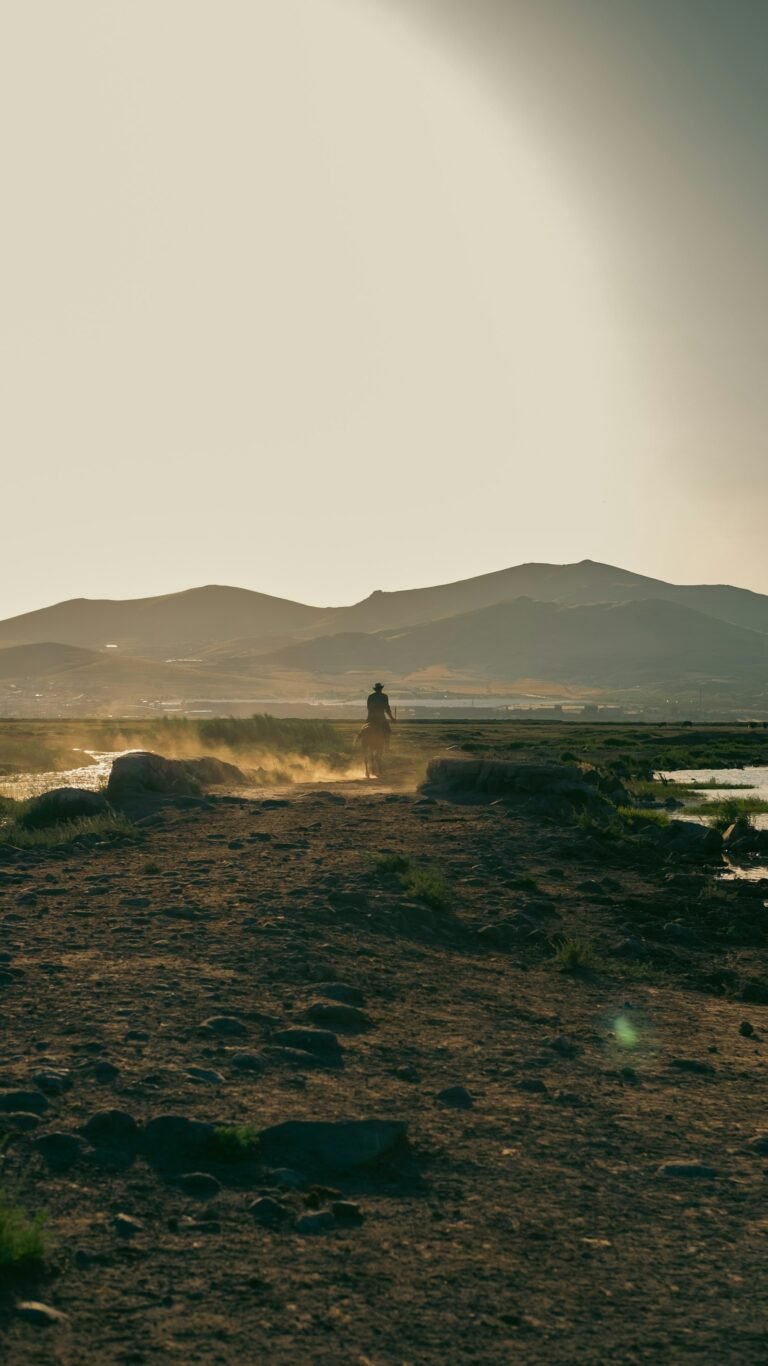 Horse Riding at Sunset in Agafay desert
